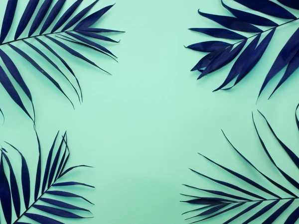 Dark blue palm leaves on a blue background