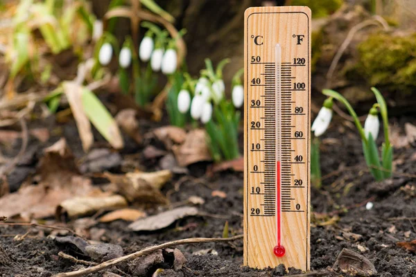 Wooden thermometer outside temperature — Stock Photo, Image