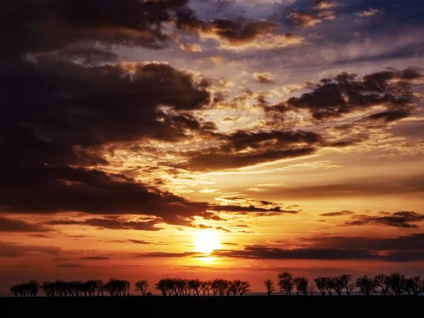 Alan Üzerinde Doğal Gün Batımı. Parlak Dramatik Gökyüzü ve Karanlık Zemin. 