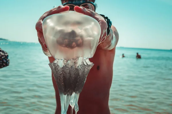 Adam yaz aylarında sahilde deniz suyunda şeffaf bir denizanası açık havada tutar