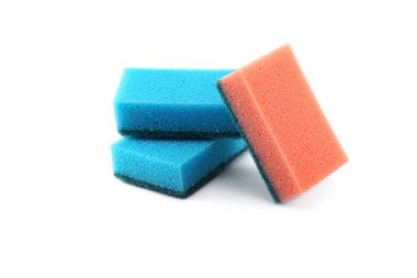 Beyaz arka plan üzerinde izole ağaç süngerler