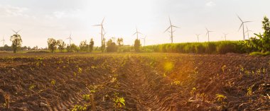 Rüzgar çiftliğinde tarım