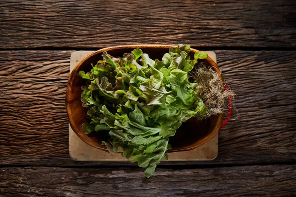 Tahta Kasede Red Oak Yaprak Salatasıyla Hayat — Stok fotoğraf