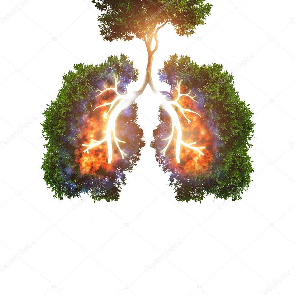 Green tree lungs infection isolated on white. Healthy and medicine or Natural green environment concept. Double exposure with lung burning , Covid-19 concept