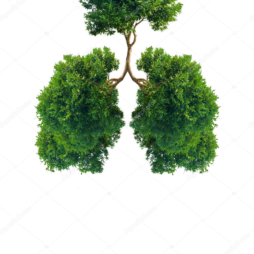 Green tree lungs isolated on white. Healthy and medicine or Natural green environment concept