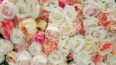 Arka plan veya doku için güller.