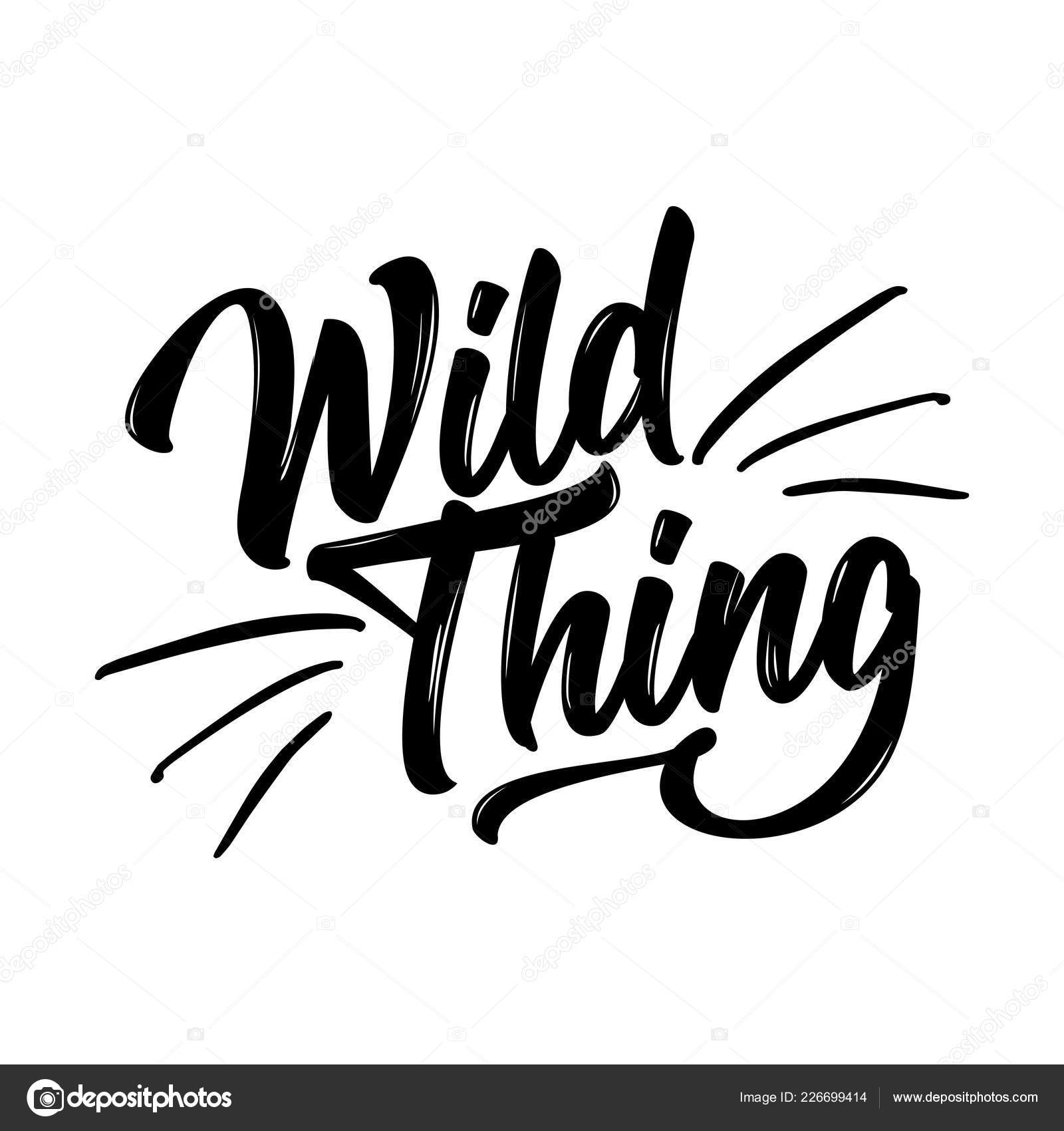 Pictures The Wild Things Wild Thing Funny Hand Drawn Calligraphy Text Good Fashion Shirts Stock Vector C Azindianlany 226699414