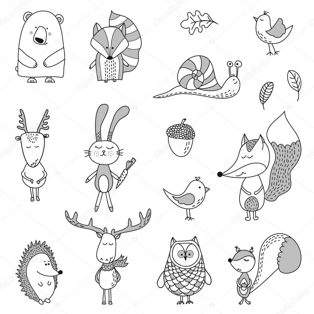 Cute bear, badger, fox, acorn, nut, leafs, roe, deer, bunny, birds, snail, hedgehog, owl, squirrel  - Vector hand drawn doodle character illustrations for posters, cards, t-shirts. 