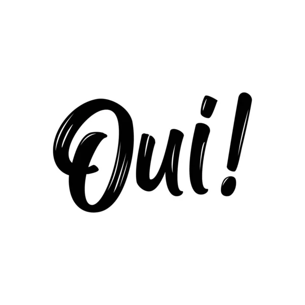 Oui ในภาษาอ งกฤษ วาดด วยม อของฝร งเศส ภาพเวกเตอร เหมาะส าหร — ภาพเวกเตอร์สต็อก