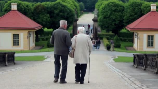 Ηλικιωμένο ζευγάρι παίρνει μια βόλτα χωρίς βιασύνη κατά μήκος της λωρίδας του πάρκου — Αρχείο Βίντεο