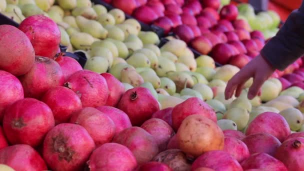Nákupní ovoce v zelinářství — Stock video