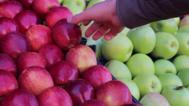 Gyümölcs-zöldség-gyümölcs bevásárlás — Stock videók