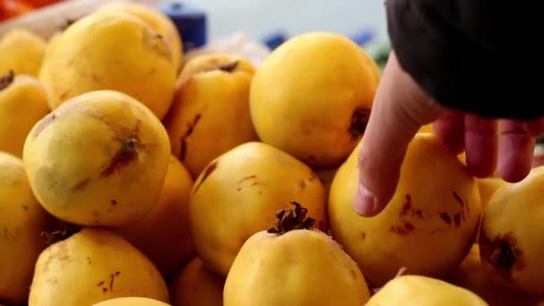 Shopping fruit in greengrocer — Stock Video