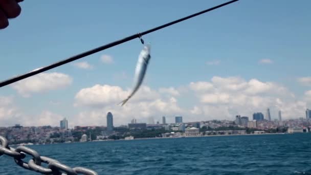 Joven pescador hombre pesca bosphorus Istanbul — Vídeos de Stock