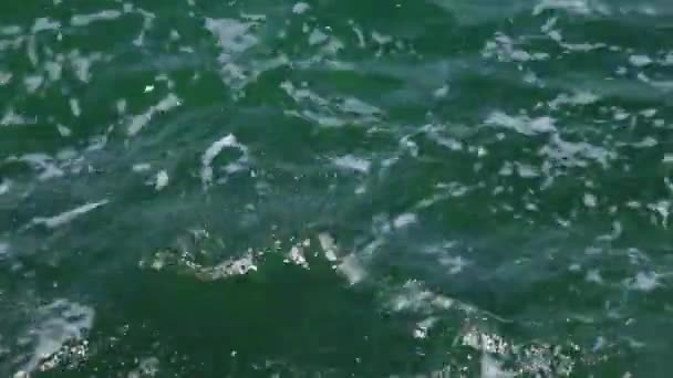 海中的水波踪迹 — 图库视频影像