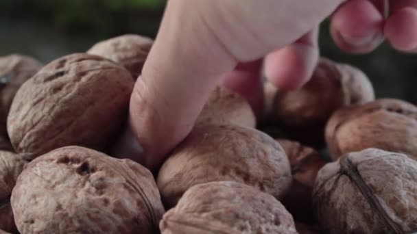 Грецкие орехи собирают вместе — стоковое видео