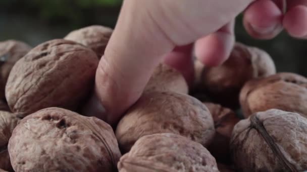 Noix de Grenoble est rassemblant — Video