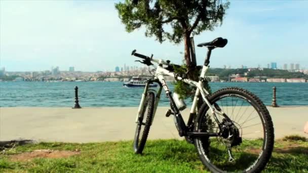 De fiets staat naast de boom op het strand — Stockvideo