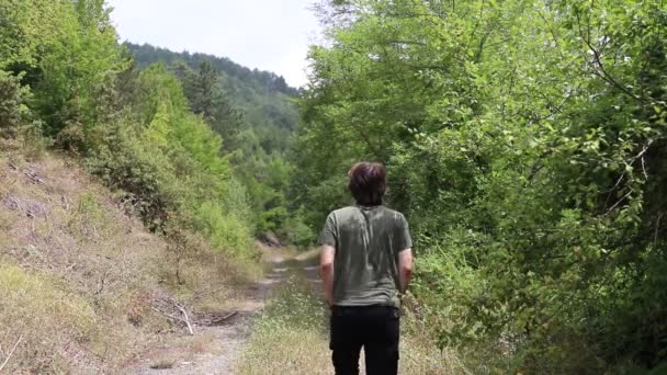 Caminhando na floresta — Vídeo de Stock