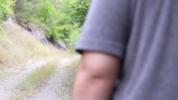 Promenade dans la forêt — Video