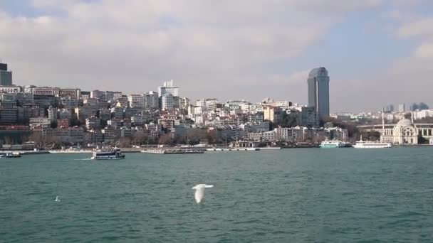 Statki pływające Bosphorus niebieski woda słoneczny dzień. Ruch wodny. — Wideo stockowe