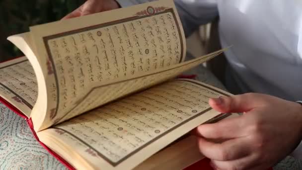 Young Muslim Learning Quran — Stock Video