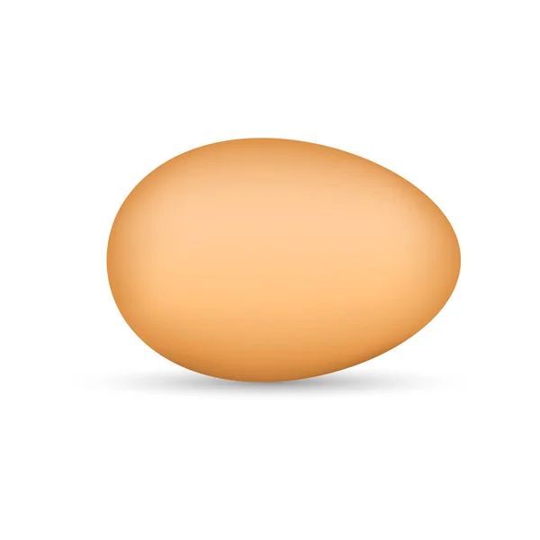 Реалістичне Яйце Векторний Дизайн — стоковий вектор