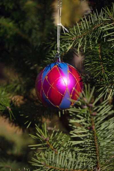 Bola Vermelho Azul Ano Novo Uma Árvore Natal Verde Véspera — Fotografia de Stock