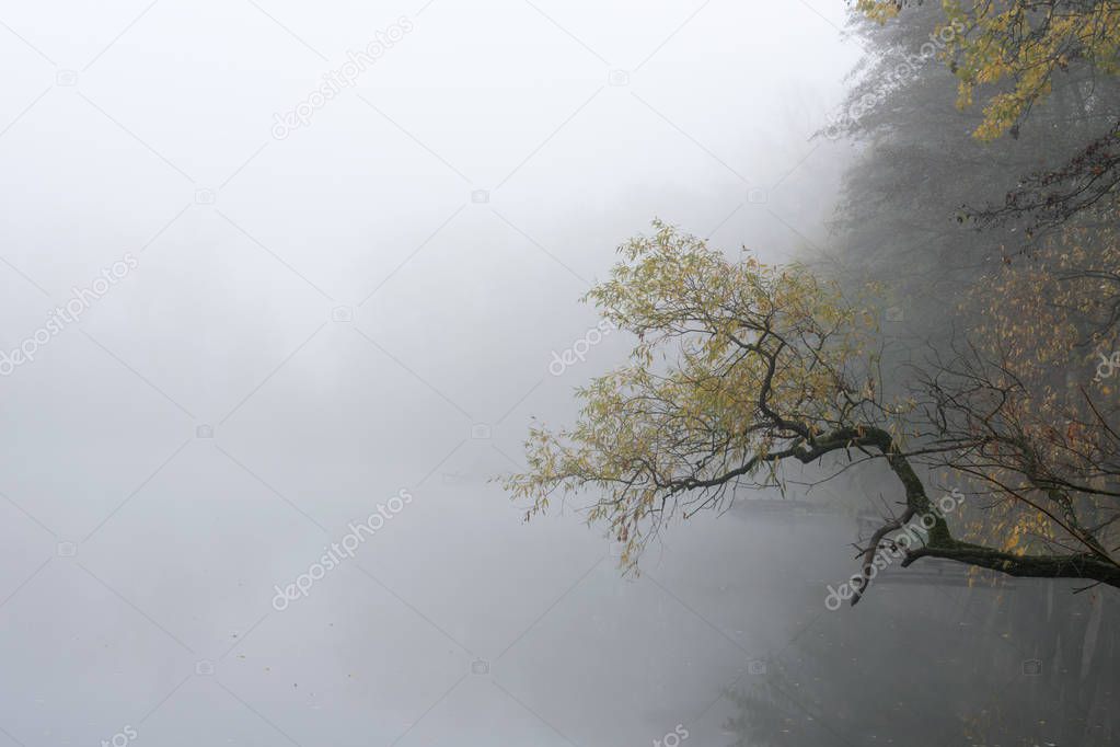 Beautiful autumn state of nature in the early foggy October morning