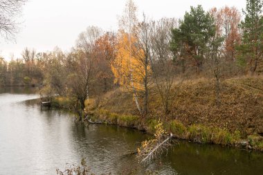 Doğa Göl sonbahar durumunu arka plan üzerinde beyaz huş ağacı