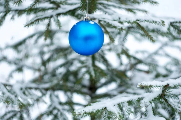 Bola Azul Ano Novo Uma Árvore Vibrante Verde Coberta Neve — Fotografia de Stock