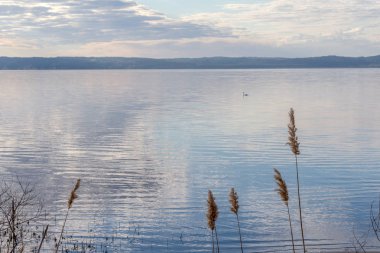Devlet büyük Nehri üzerinde sabahın erken saatlerinde doğanın