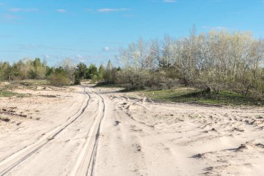 Yolun kumlar arasında. Baharın başlangıcı. Sabah.
