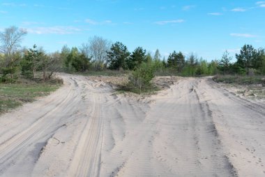 Yolun kumlar arasında. Baharın başlangıcı. Sabah.