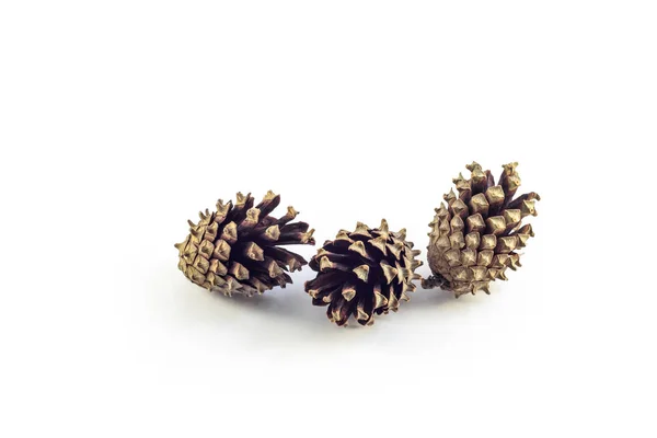 Three Pine Cones White Background — Stock Photo, Image