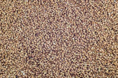 Tarım Tohum Sanayi buğday ürünüdür. Yakın çekim