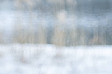 Dondurulmuş bir nehrin bokeh etkisi ve sazlık ile karla kaplı bir banka ile pastel görüntü