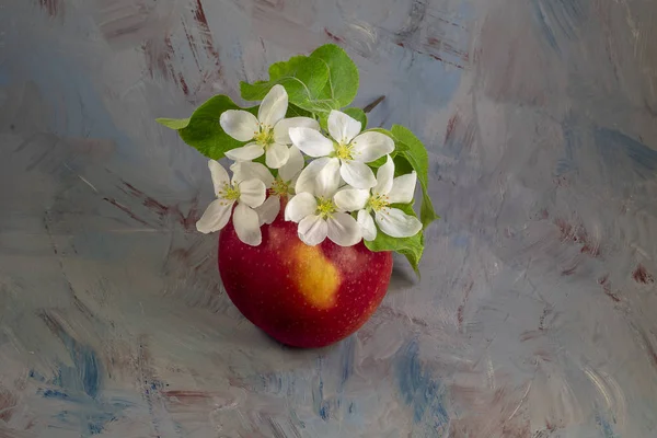 Flower and apple fruit on a gray picturesque background. The beginning and the end of life, youth and old age
