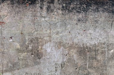 Arka plan olarak binanın boyalı beton tabanı