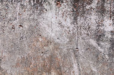 Arka plan olarak binanın boyalı beton tabanı