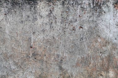 Arka plan olarak binanın boyalı beton tabanı