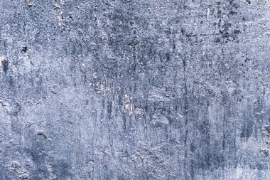 Arka plan olarak gri boyalı beton yüzey.