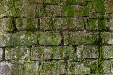 Terk edilmiş bir bodrumyosun kaplı tuğla