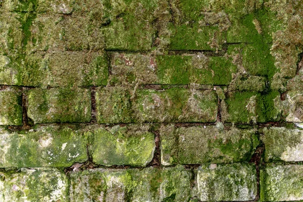 Terk edilmiş bir bodrumyosun kaplı tuğla