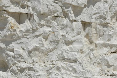 Kretase dağları, deniz hayvanlarının iskeletkalıntıları.