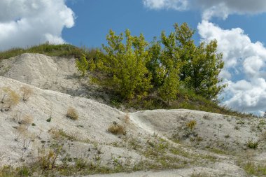 Kretase dağları, deniz hayvanlarının iskeletkalıntıları. Geçmişte tebeşir dağları, dinozorlar yaşarken, deniz tabanı. Şimdi güzel bir manzara.