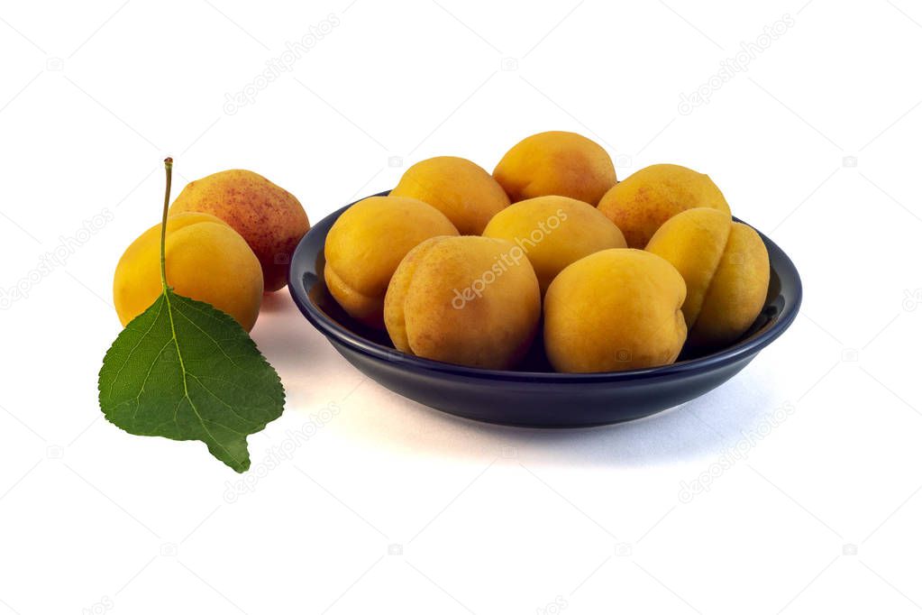 Apricots in a black plate and a green leaf on a white background