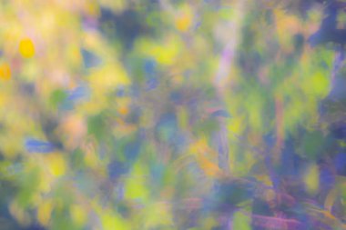 Güneşli bir günde doğal arka plan üzerinde ağaç yaprakları defocused görüntü