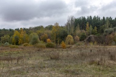 Bulutlu bir günde doğanın sonbahar hali
