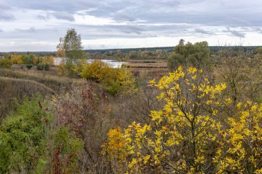 Bulutlu bir günde doğanın sonbahar hali